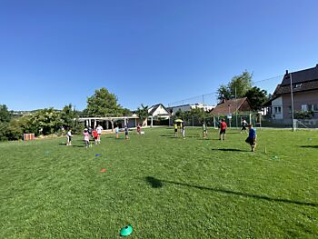 IMG_7038.jpeg