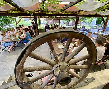IMG_4702.jpeg